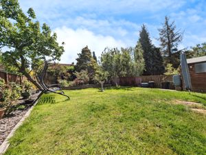 Photo 11- click for photo gallery